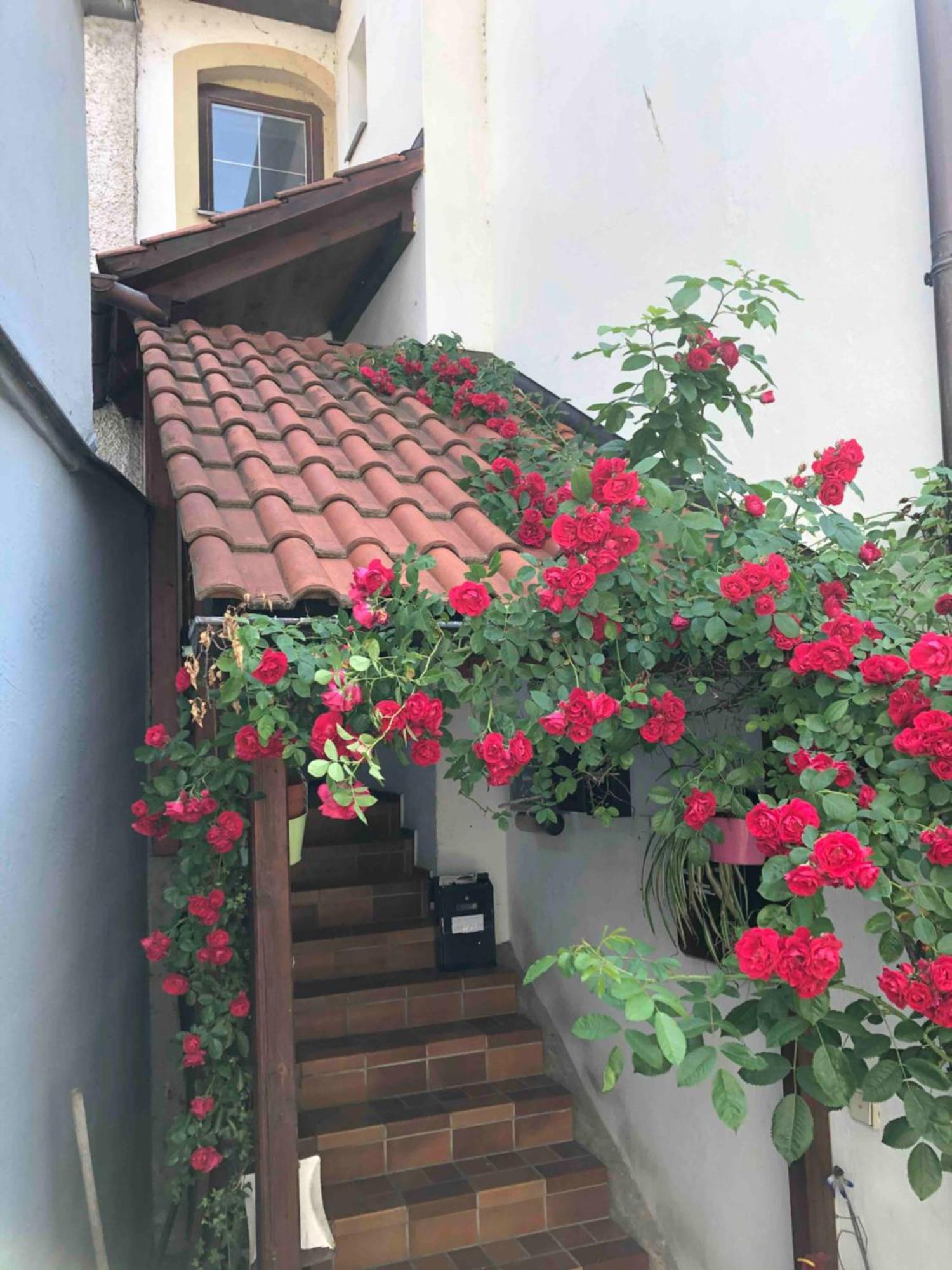 リンダウIm Rosenhofアパートメント エクステリア 写真